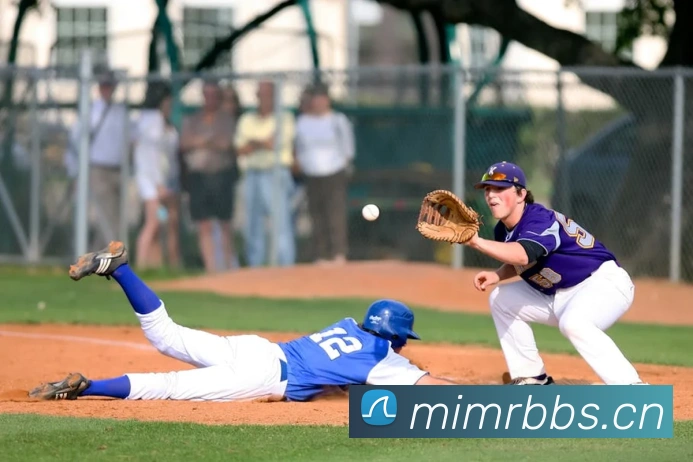 乐竞官网首页登录入口服务体系